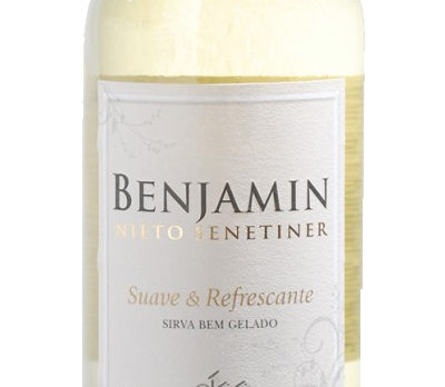 Vinho Benjamin Nieto Suave Branco